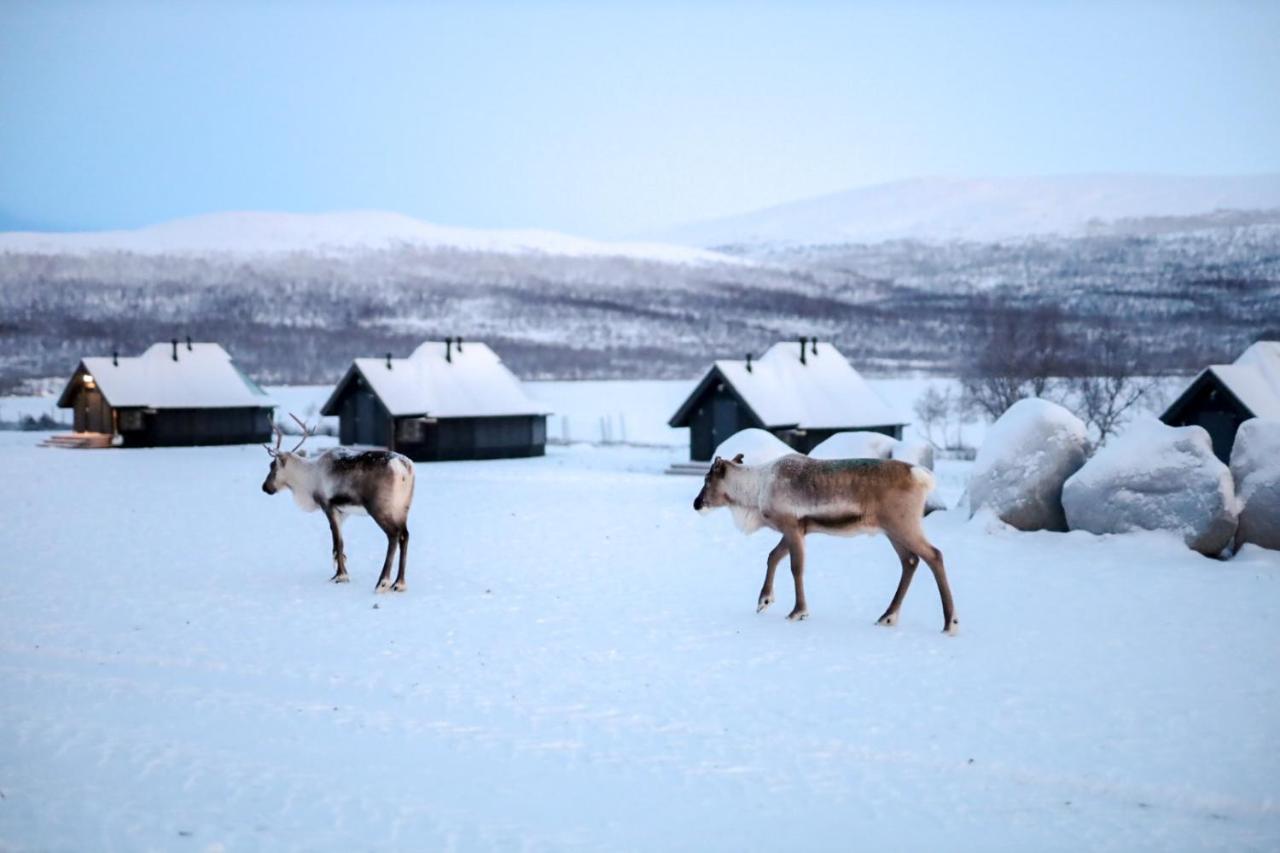 Arctic Land Adventure Glass Igloos Kilpisjarvi Exterior photo